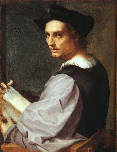 Andrea del Sarto Portrait of a Young Man oil painting image
